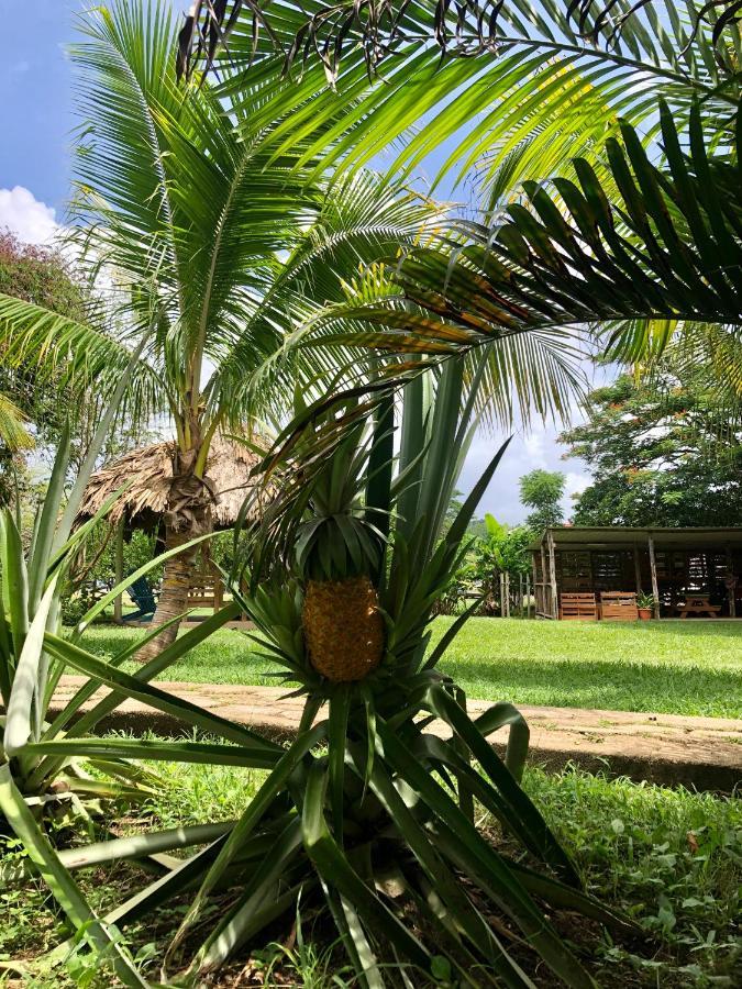 Mana Kai Camping & Cabins San Ignacio Exterior foto